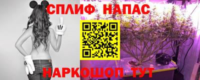 спиды Краснознаменск