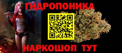 спиды Краснознаменск