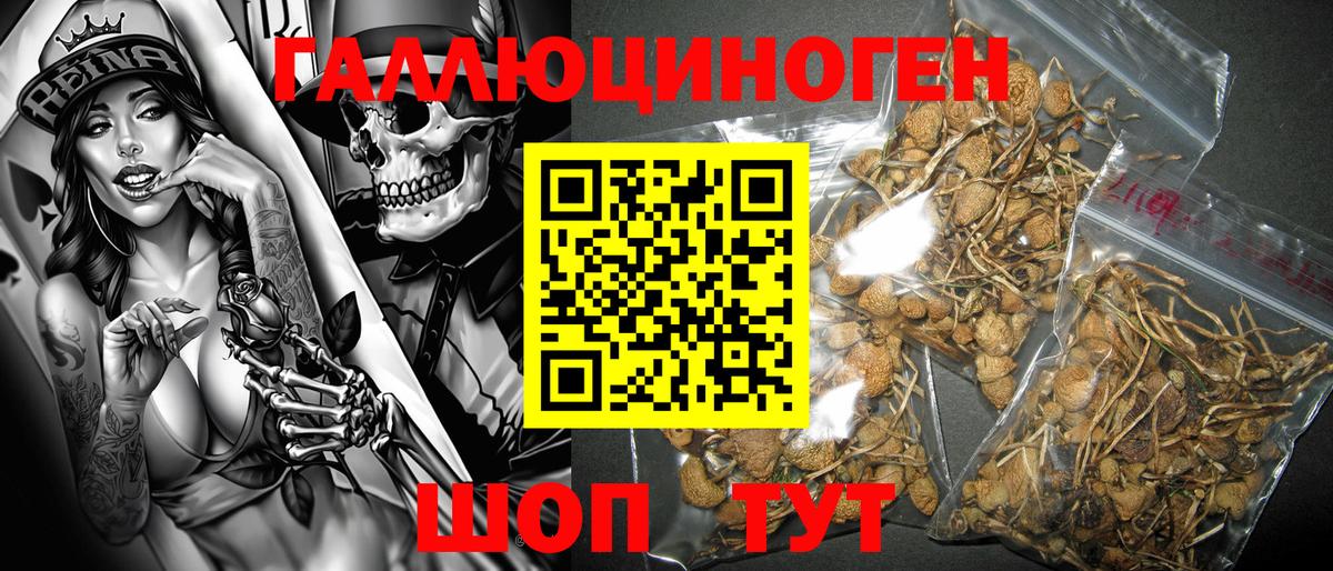 Псилоцибиновые грибы GOLDEN TEACHER  Псилоцибиновые грибы GOLDEN TEACHER  Казань  Вход с VPN 