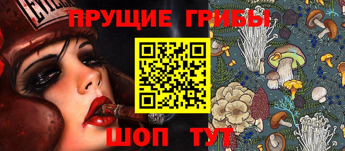 Галлюциногенные грибы прущие грибы Казань